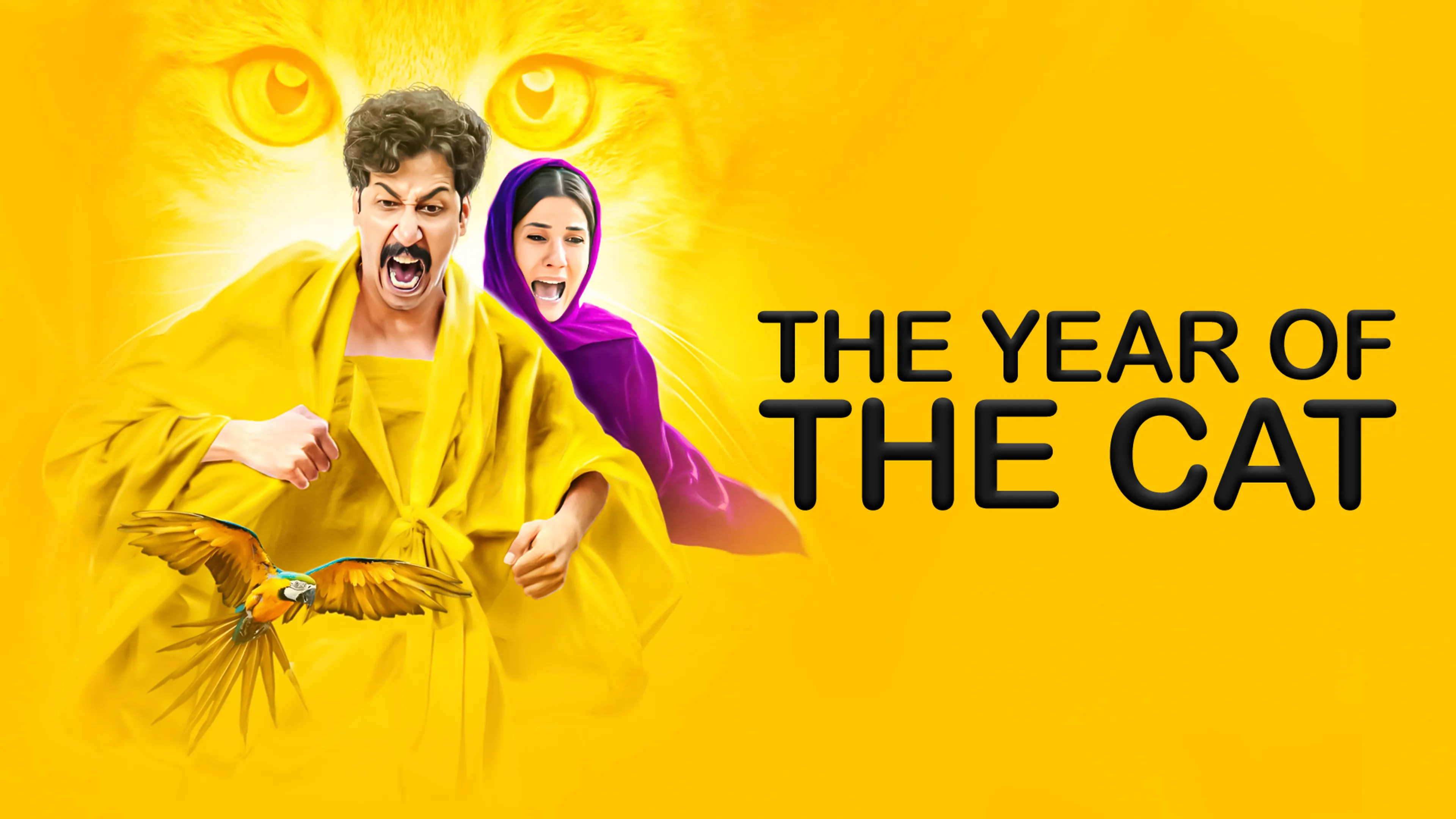 The Year of The Cat poster